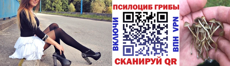 Купить  Владимир  Псилоцибиновые грибы MAGIC MUSHROOMS 