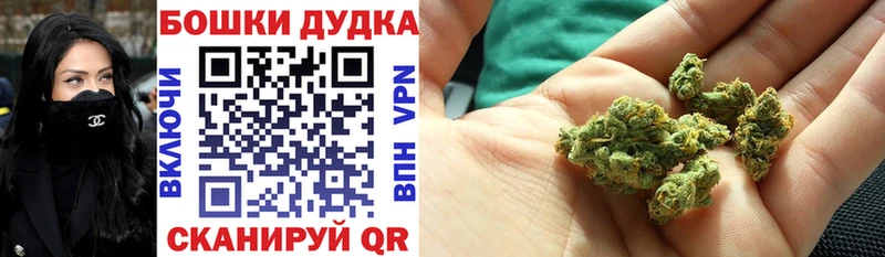 Купить  Владимир  Бошки Шишки Bruce Banner 